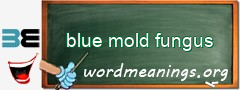 WordMeaning blackboard for blue mold fungus